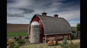 Palouse-03